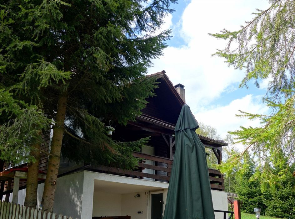 Cabană cu ciubar la Beliș