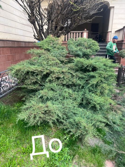 Садовник профессионал