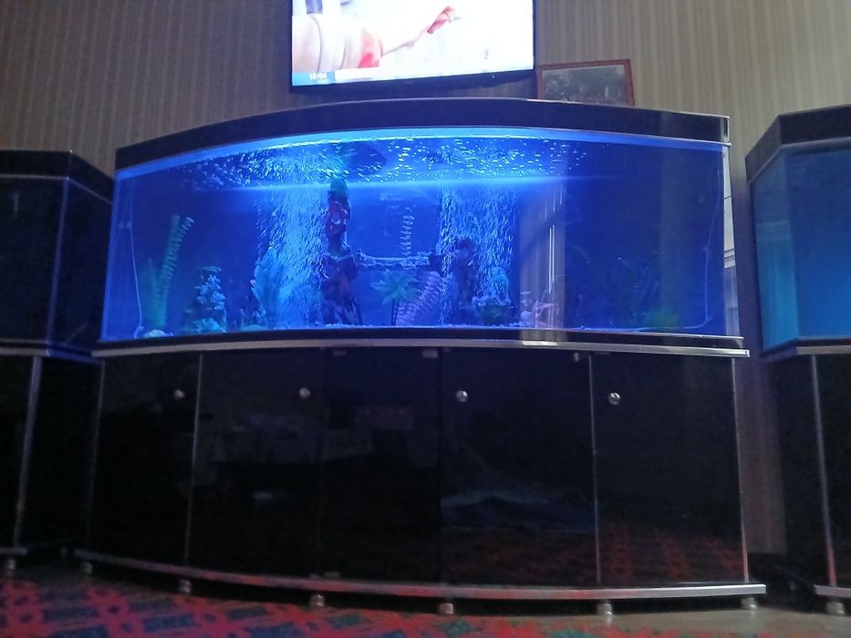 Аквариум сотилади