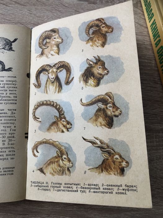 Большая книга охотника