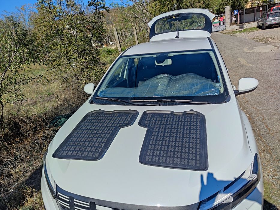 Гумени стелки за Дачия Сандеро II