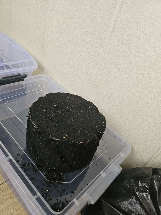 Жмых черного тмина