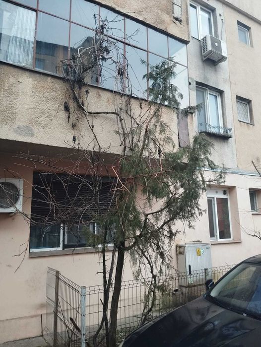 Apartament cu 3 camere, decomandat, str. Ion Creanga