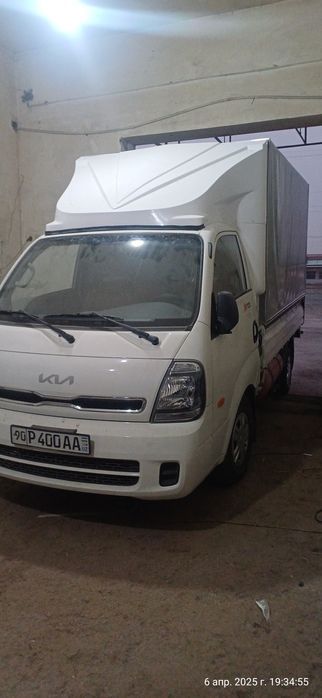 Карона ветровик  аптекател