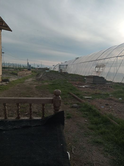 Юлни ёкасида Парник бизнес сотилади  парник 55сотик келиштириб берамиз