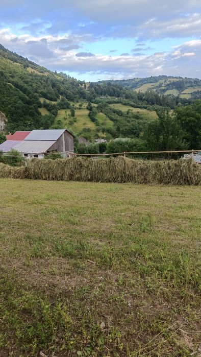 Teren intravilan cu casă veche și anexă de vânzare