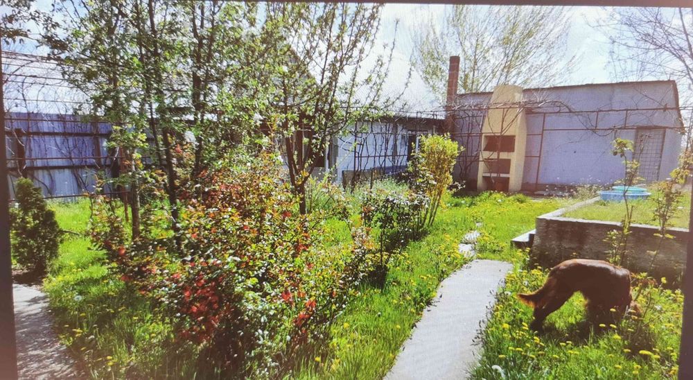 Teren la 15km de Bucuresti cu 2 case, fundatie, fosa, beci, put apa,