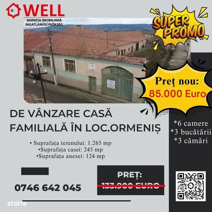 De vânzare casă familială în loc.Ormeniș