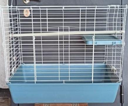 Клетка   для кроликов