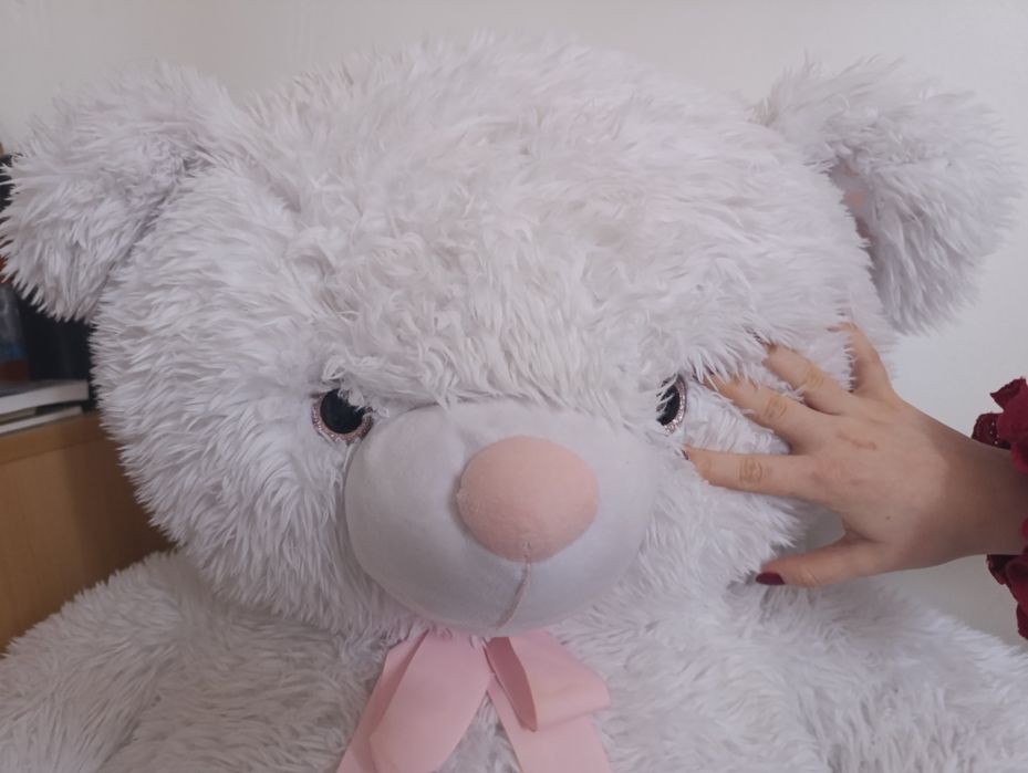 Голяма Плюшена Мечка