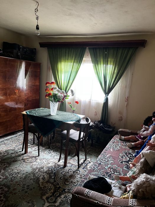 Casă + 2571 mp teren + potențial comercial în Strehaia, aproape de strada principală