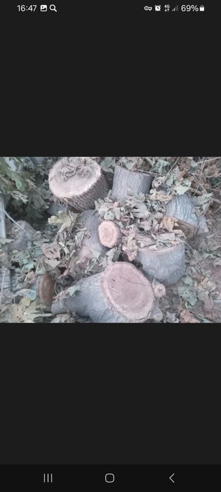 O'tin sotiladi. Tut daraxti.Narhini kelishamiz.