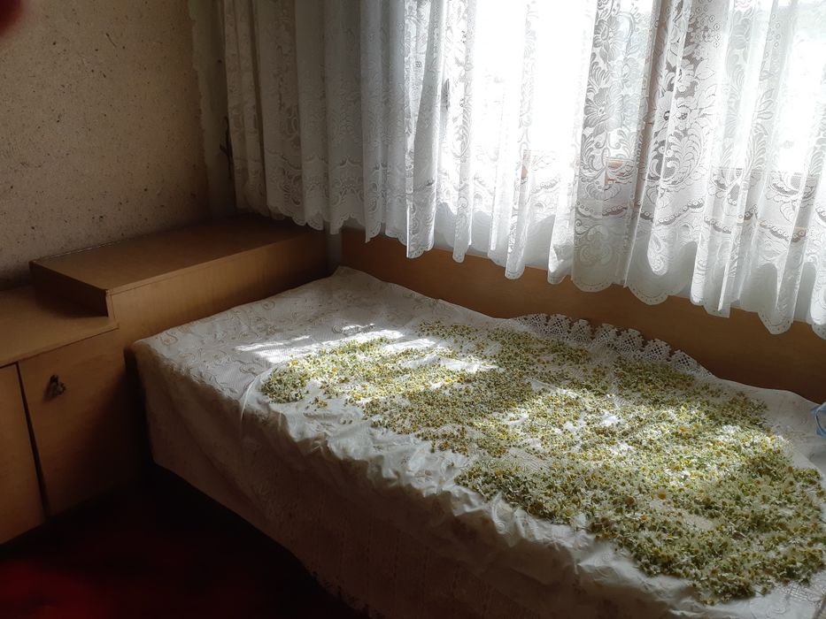 Секция,две ъглови легла и бюро