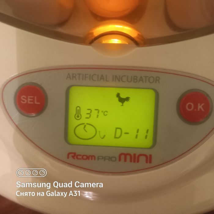 Продается инкубатор Rcom