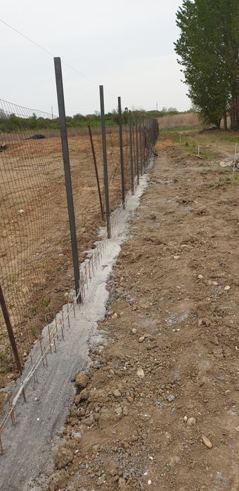 Gard panou bordurătă 125 lei ml