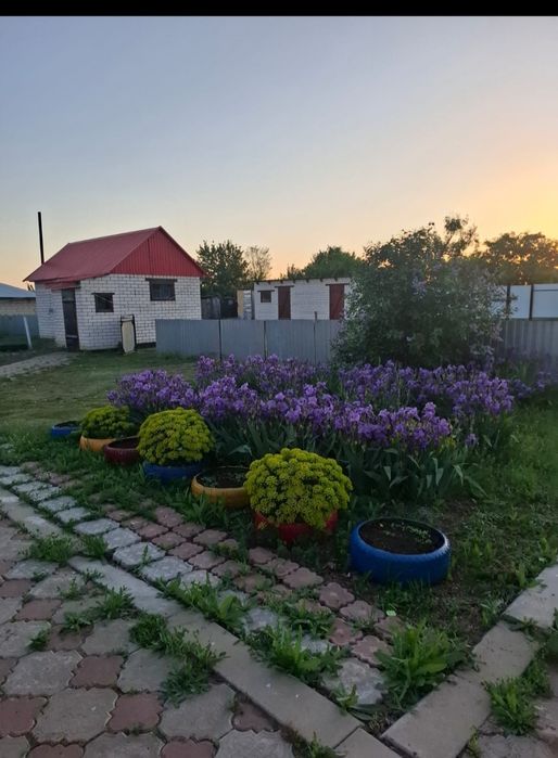 Продам дом в п.Бурлин