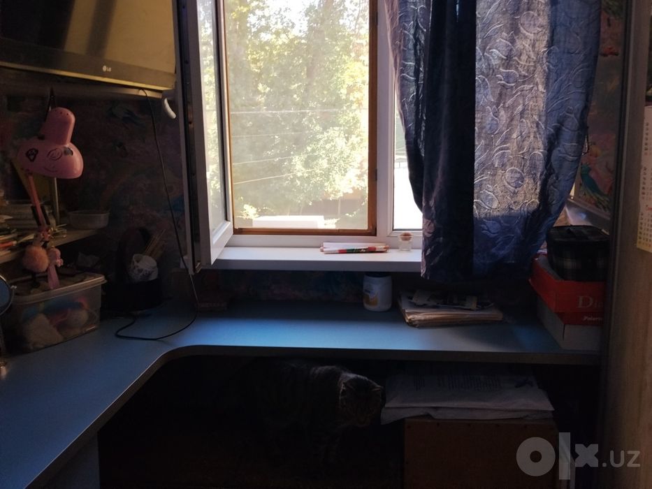 Уголок для школьника с полочками