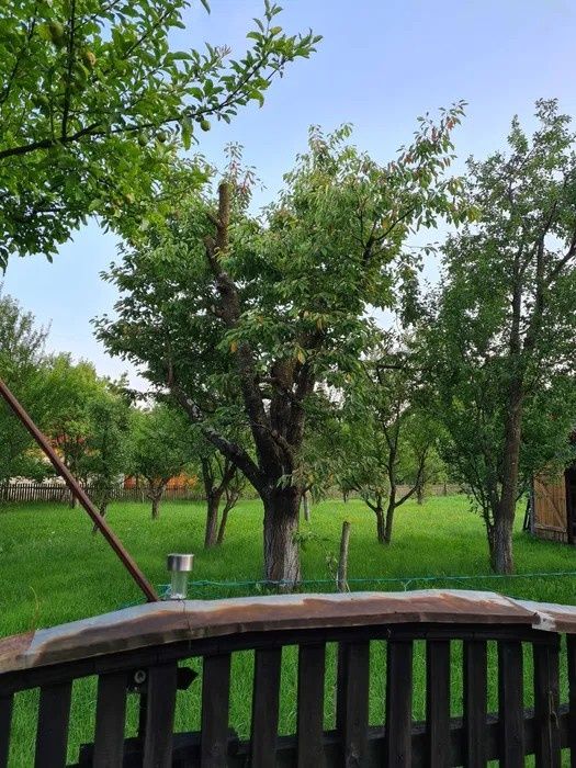 Casă de vânzare Bistra Mureșului