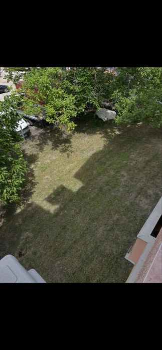 Косене на трева и почистване на дворове и кастрене на дървета