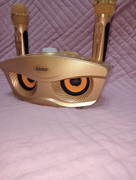 Портавиыная уолонка и два микрофона