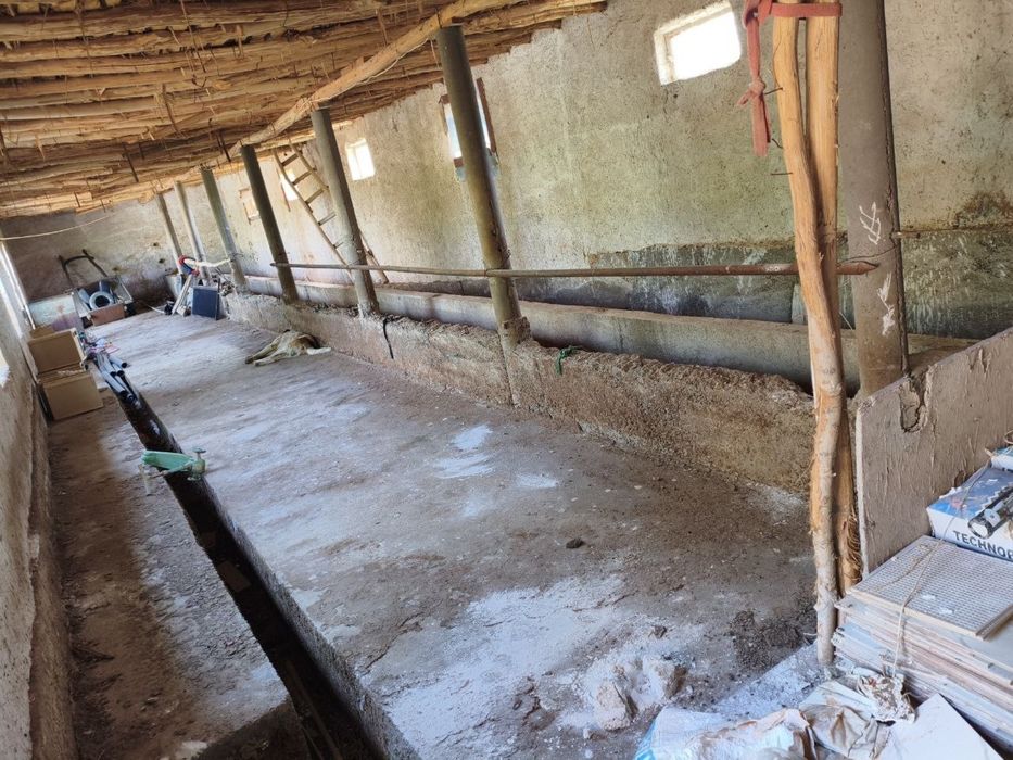 Помещение для фермы в аренду