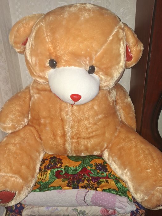 Teddy ayiq o'yinchoq