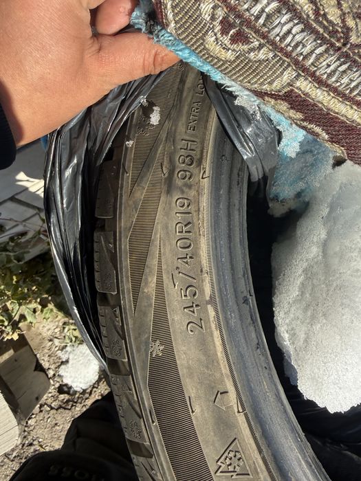 Продам ризина лепучка