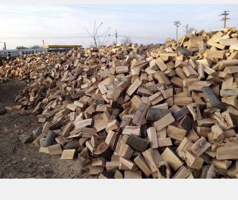 Lemne de foc taiate sparte