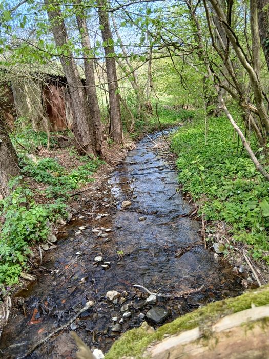 Casă la munte cu pârâu în curte,în localitatea  Nojag.la 18 km.de DEVA