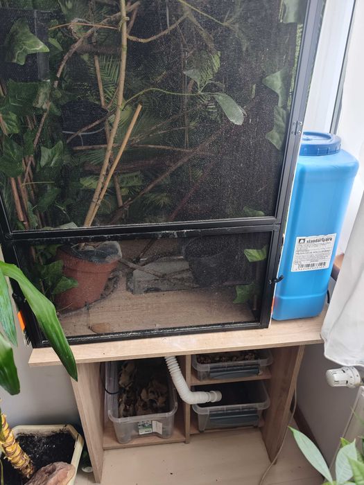 Kit Cameleon COMPLET Reptibreeze XL Arcadia Mistking Suport Birou