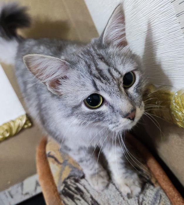 Мальчики подростки