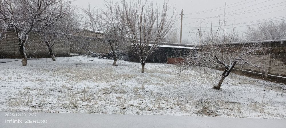 Кибрай марказида ер сотилади