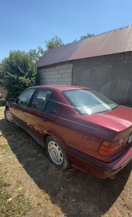 Bmw e36 91’ 320i non vanos