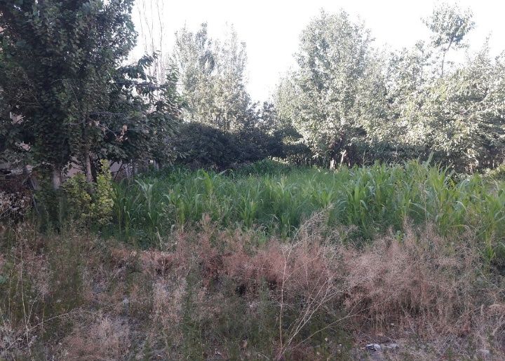 Йер сотилади 8 соток