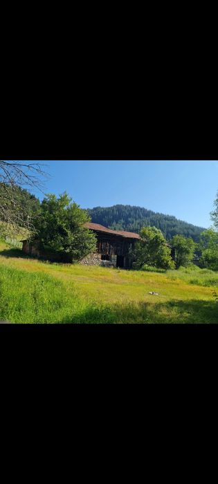 продавам животновъдна ферма в с. Борино,  обл. Смолян