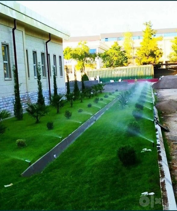 Газон екиш хизмат тайёр газон уруғдан екиш хизмати