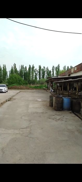 Ferma sotiladi hamma sharoiti bor tayyor biznes