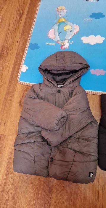 Geci zara și lupilu