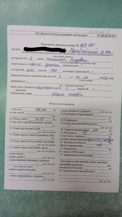 Продам семена пшеницы. Пшеница (бидай)