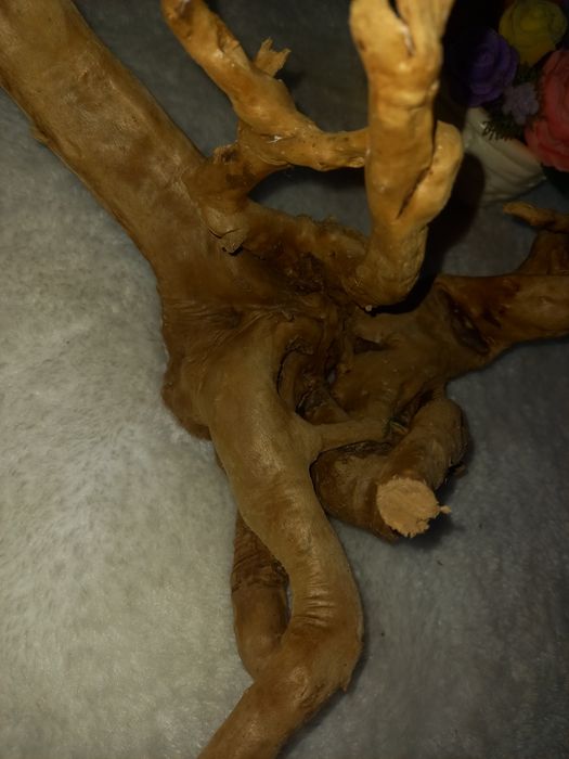 Каряга корень дерево для аквариума/koryaga daraxt ildizi akvarum uchun