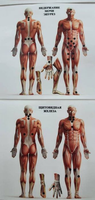 100%профессиональный массаж