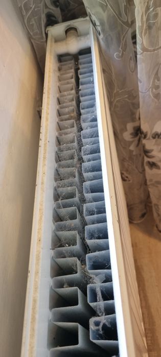 Servicii profesionale de curățenie