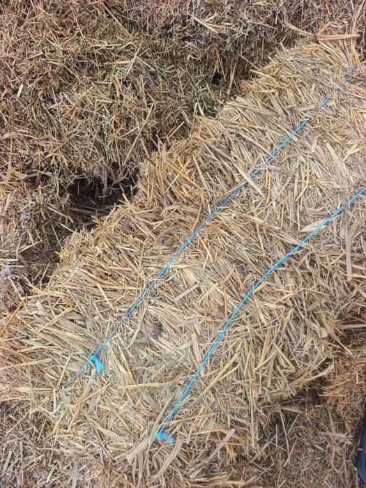 Vând baloti de lucerna/fân