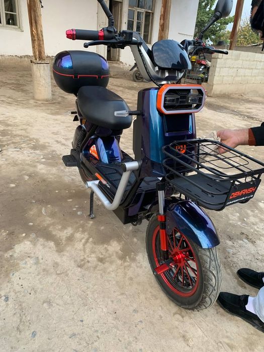 SUKUTR YANGI Model Garantiya bor