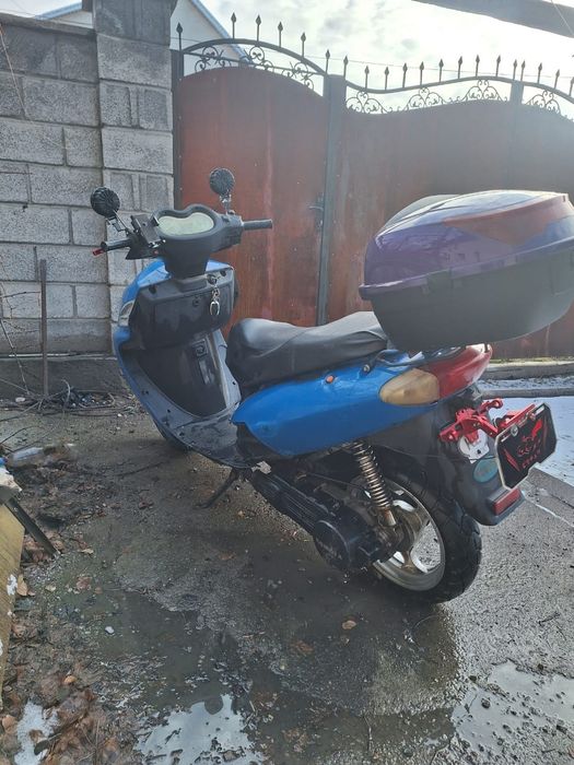 Фриеро ратон 2011