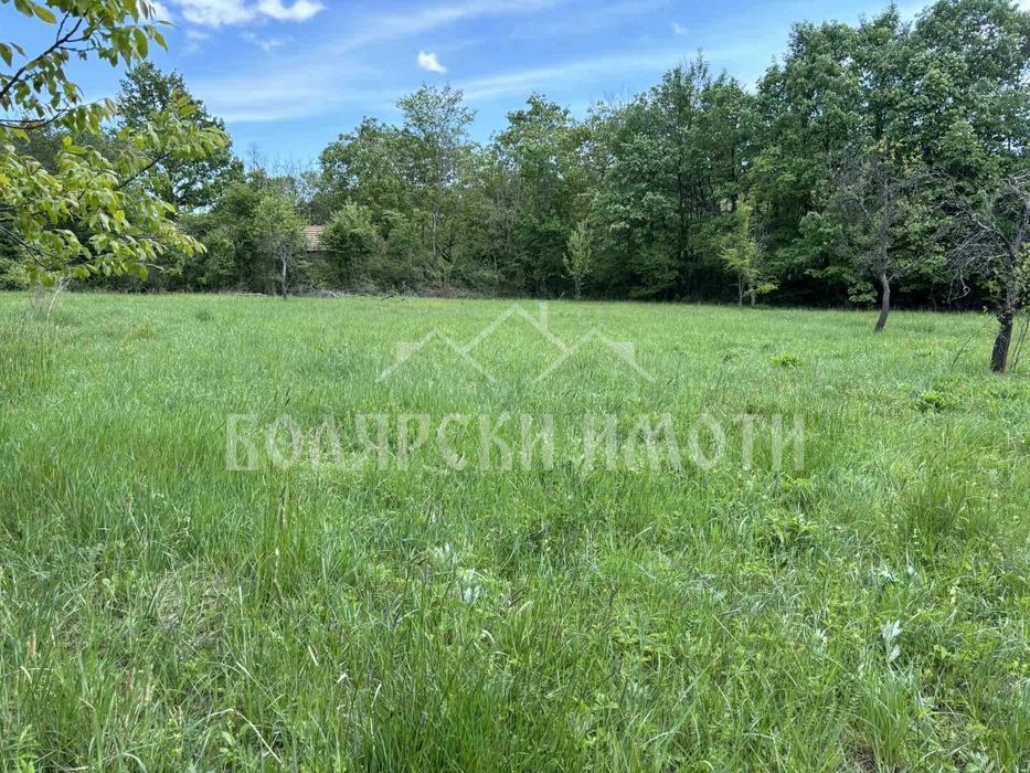 Продава се Парцел в с. Балванците, Област Габрово - 5050 кв.м за 10 €/кв.м - Снимка #1