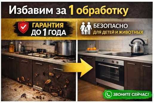 Качественная ДЕЗИНФЕКЦИЯ | Акция | Актау | Гарантия