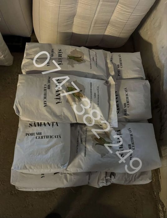 Samanta de porumb Direct Producator