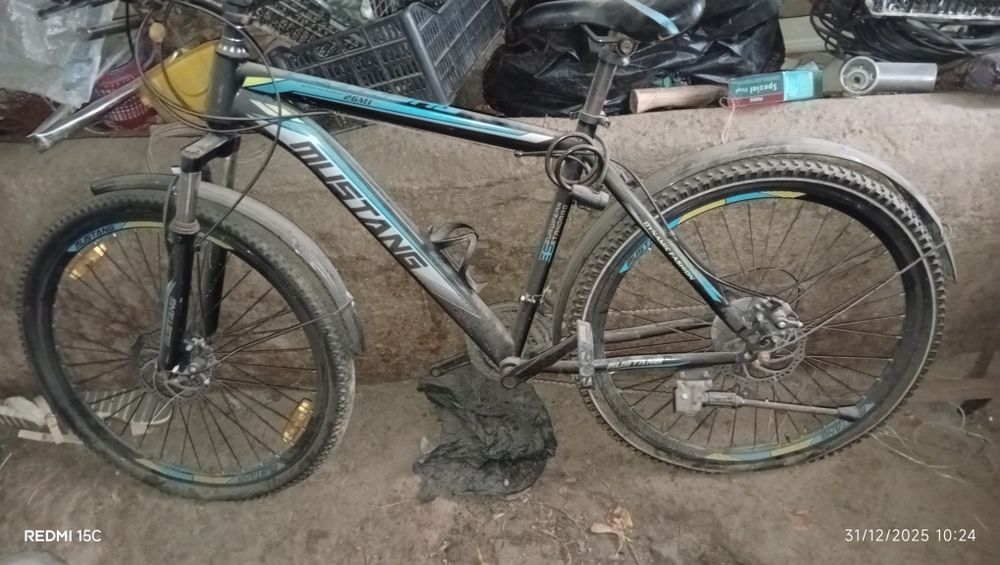 Velik Sotlad Mustang 5.6 Oy haydalgan Holati yaxw. Narx 600 kelwamzaaa