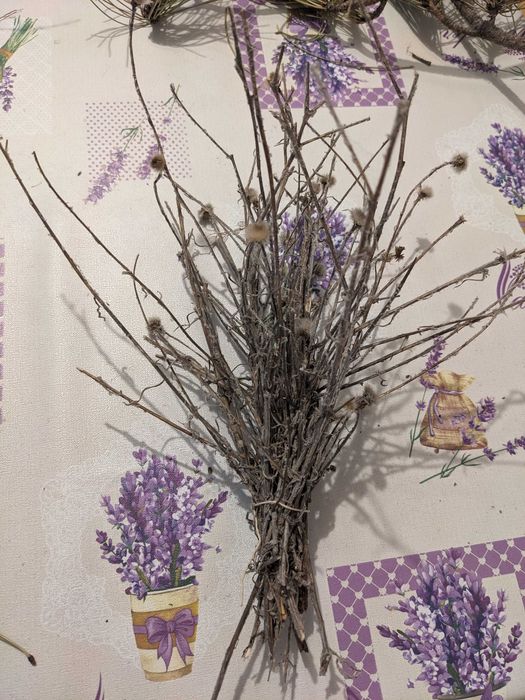 Клонки мъх жълъди шишарки за декоразия